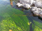 Le Sorgenti Acqua Limpida - Foto 6